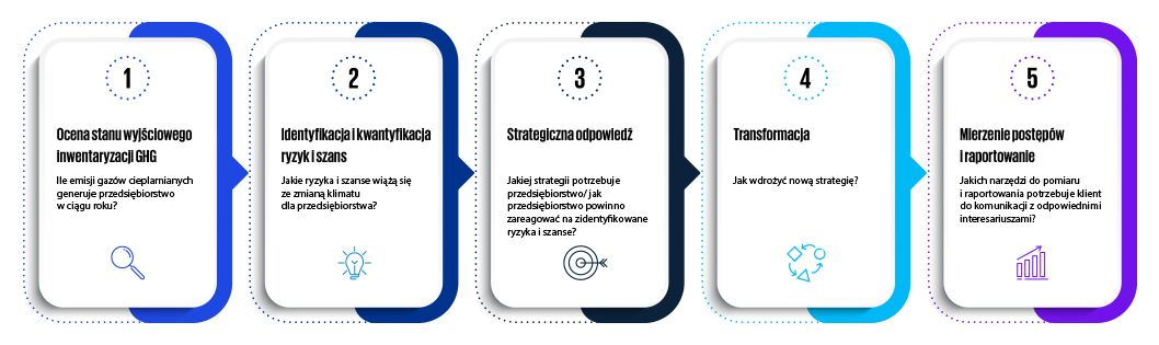 Opracowanie strategii dekarbonizacji