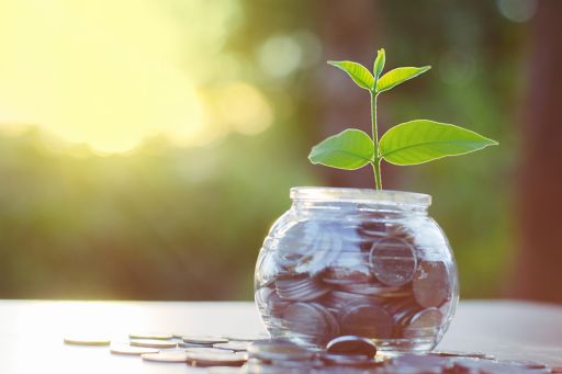 plant-growing-glass-money-jar