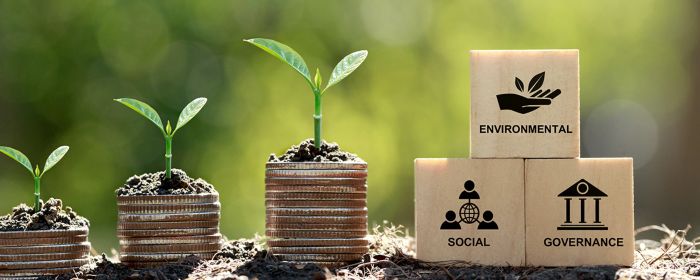 ESG programs