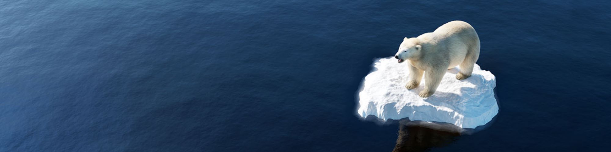 KPMG’nin iklim koruma hedefi Bilim Temelli Hedefler Girişimi’nden onay aldı