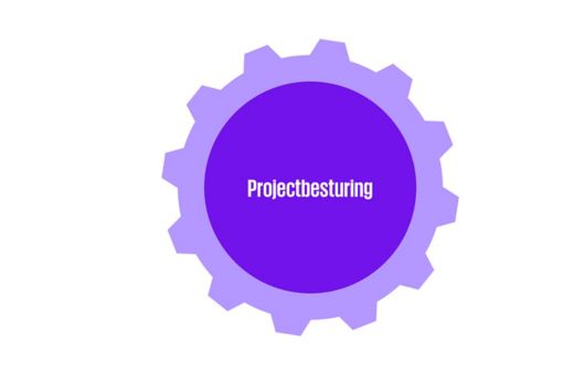 Projectbesturing