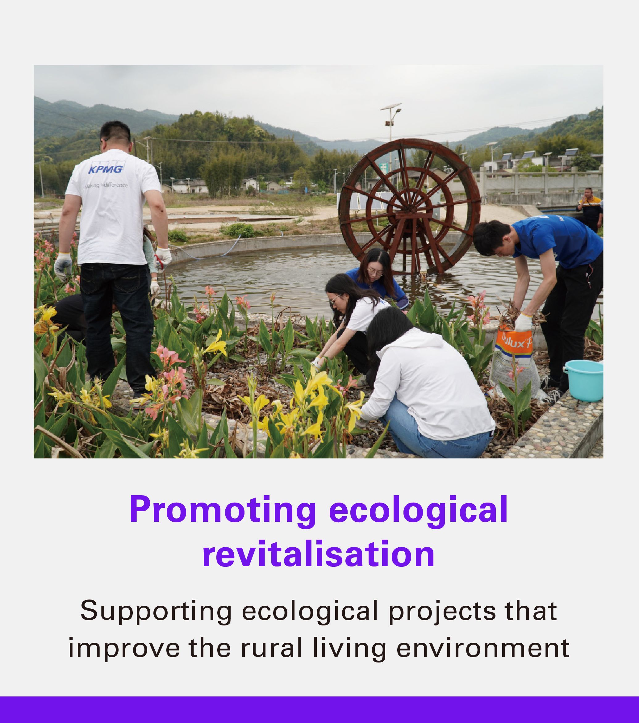 Promoting ecological revitalisation