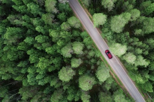 Vue aérienne de la voiture et de la forêt
