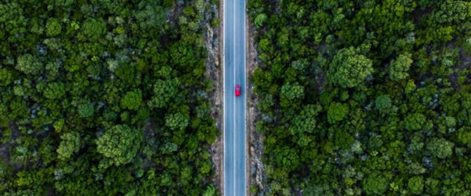 Red car on the road by a green forest