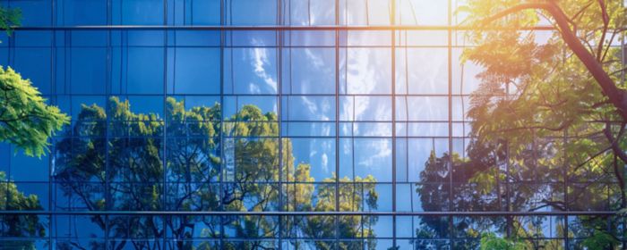 Reflections of trees on office building windows