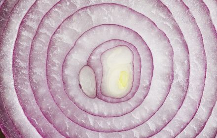 Rings of red onion