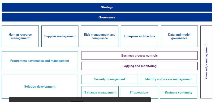 Risk and Control Framework