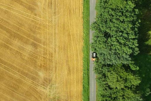 road on the edge of field