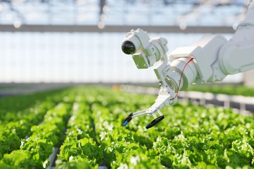 Robot AI Farming