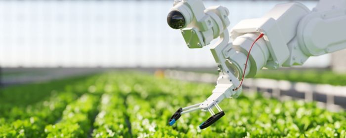 Robot AI Farming