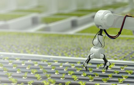 Roboterarm und kleine Pflanzen