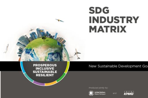 sdg industry matrix
