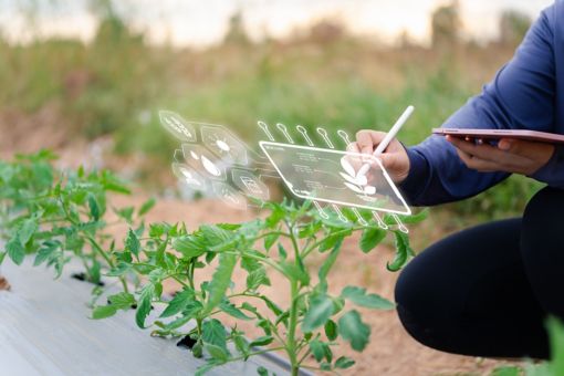 Experience a new era in farming as farmers seamlessly interact with a virtual screen, unveiling real-time insights into agricultural production management. Dive into data-driven decision-making; Shutterstock ID 2396509029; purchase_order: 