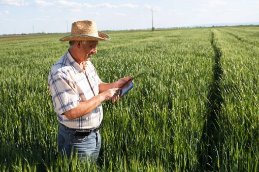 Descubriendo el valor de la inversión social - Colombia