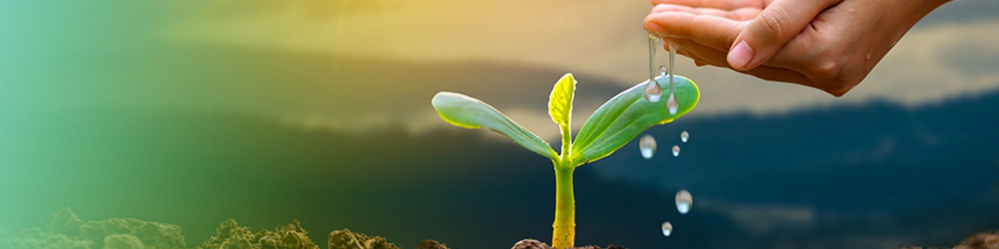 foro de sostenibilidad