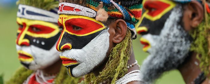 Papua_Brewer