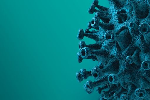 İş Dünyası Gözünden Covid-19'un Etkileri Anketi