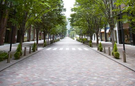 Street with trees on both ends