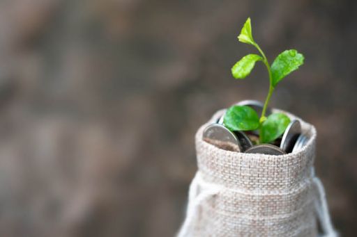 Plant growing from bag with coins