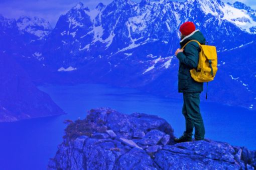 sustainability webbanner