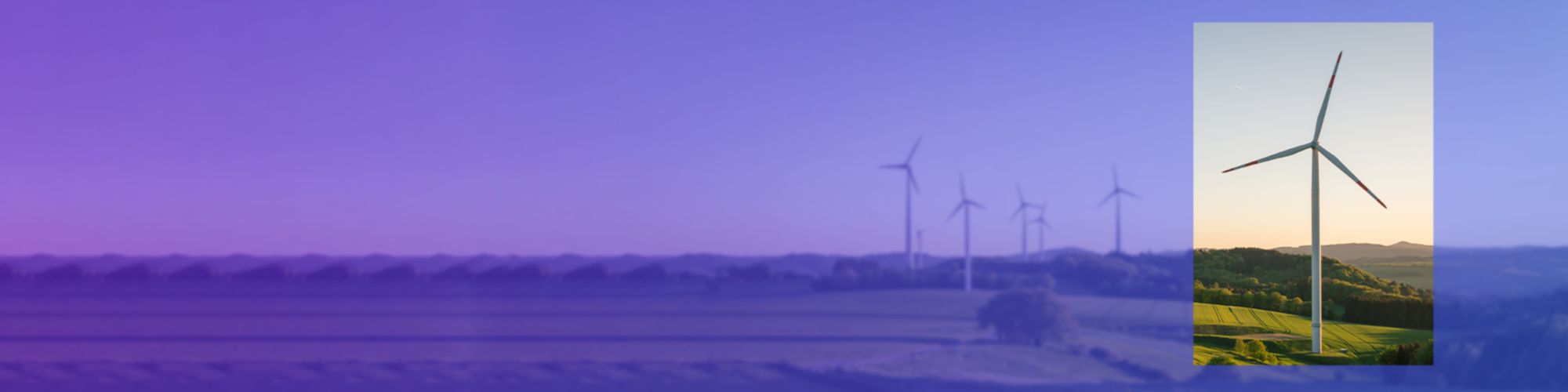 windfarm in purple blue gradient