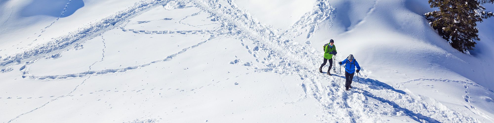 Bergsteigergruppe im Schnee