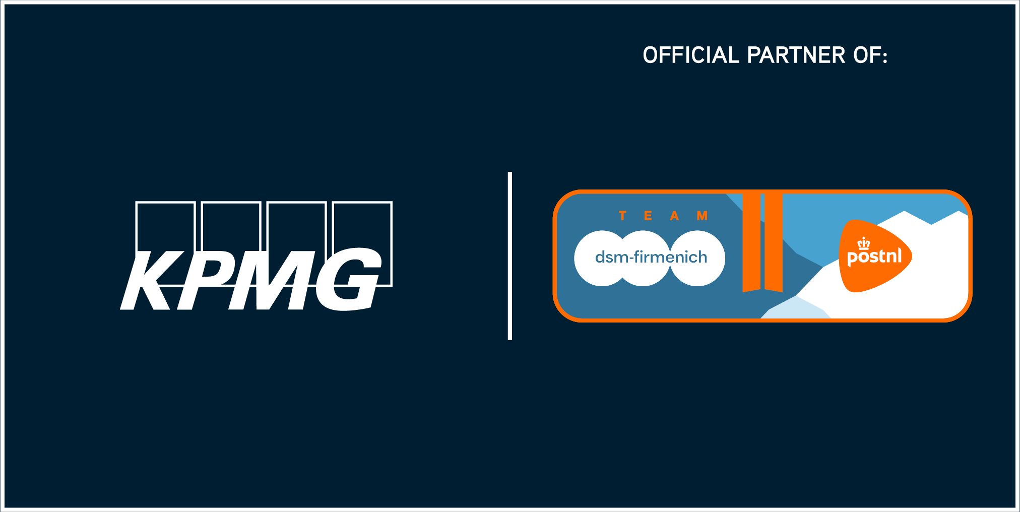 partner logo KPMG Team DSM