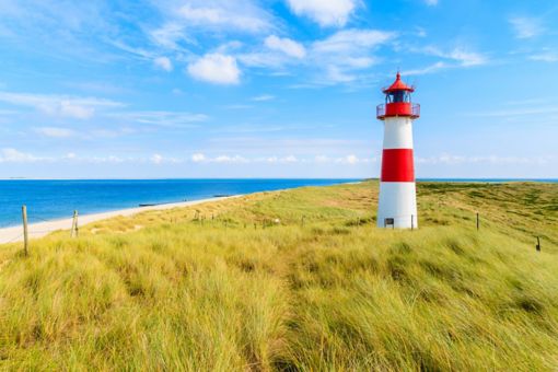 COVID-19 Küresel Tedbirler Rehberi