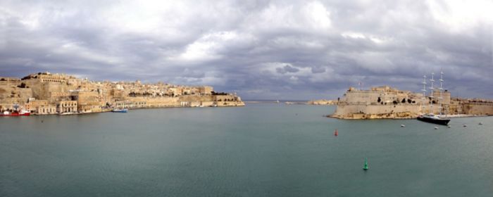 The Shareholder / Investor Status