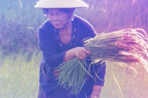 Climate change & El factor humano