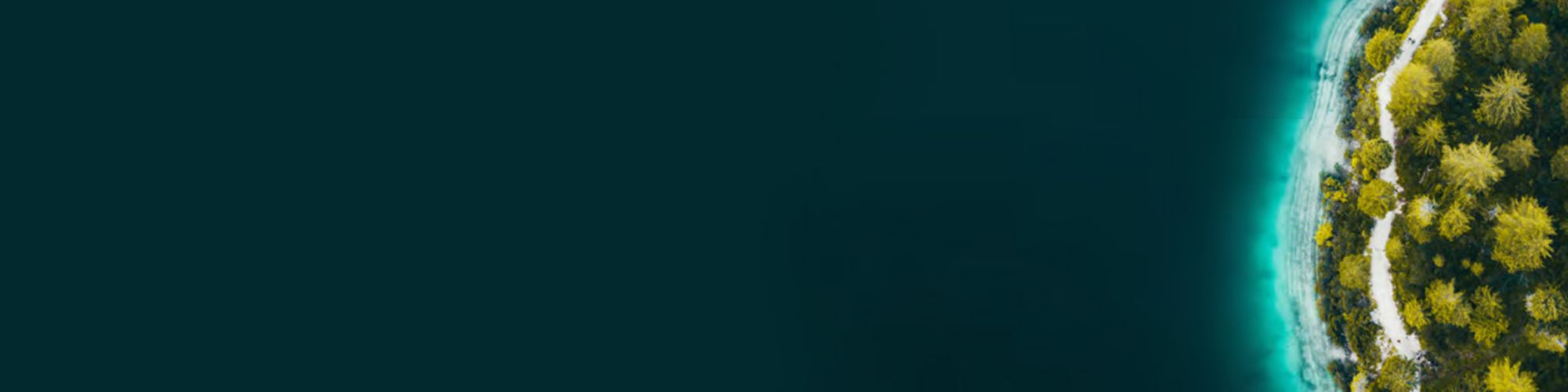 Net Zero Readiness Index