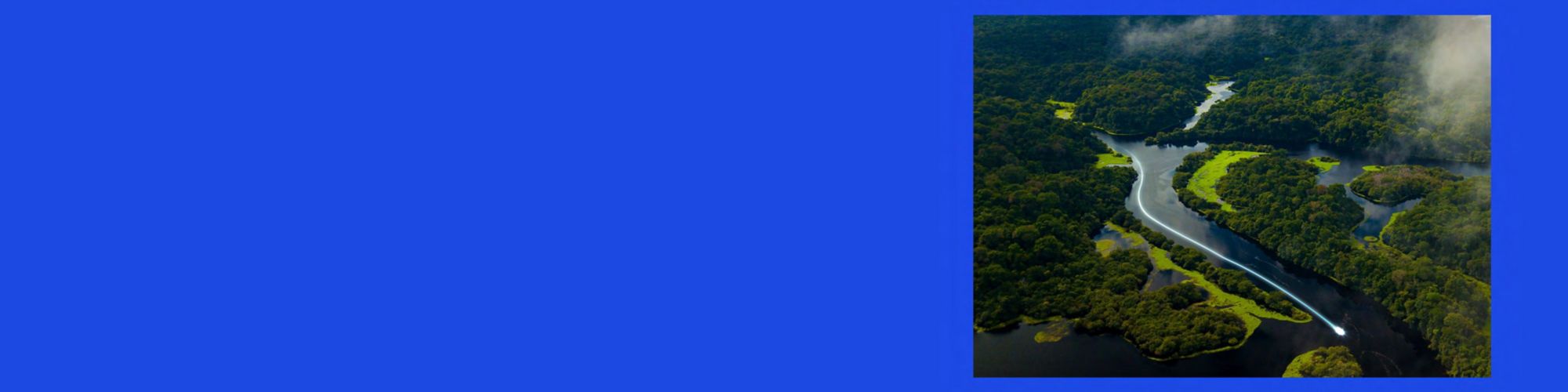 Lecciones clave de la COP30