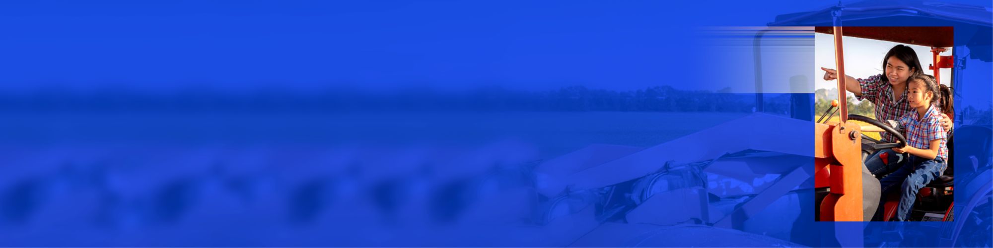 Reimaginando la resiliencia del sistema alimentario global 