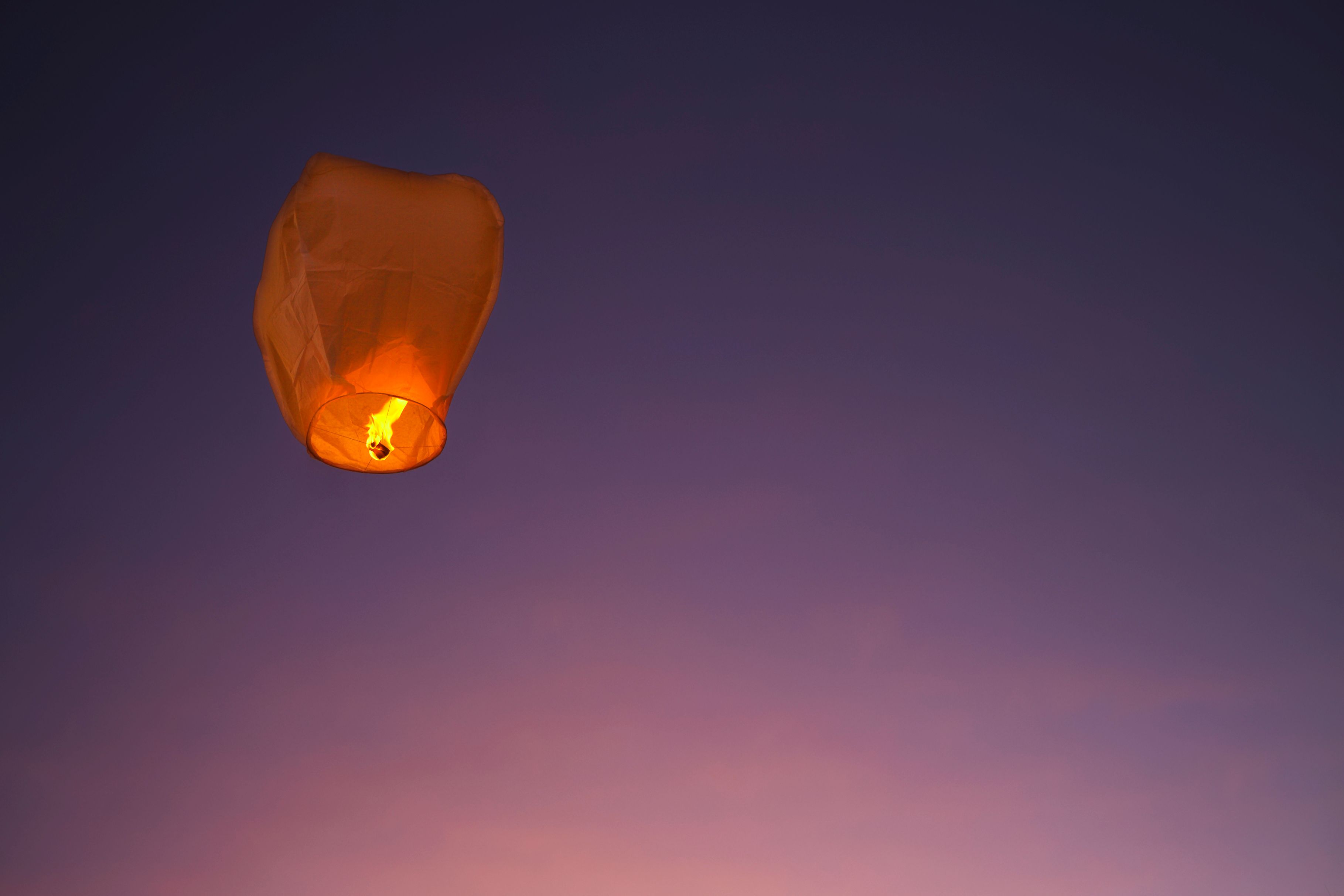 tnf asia lantern