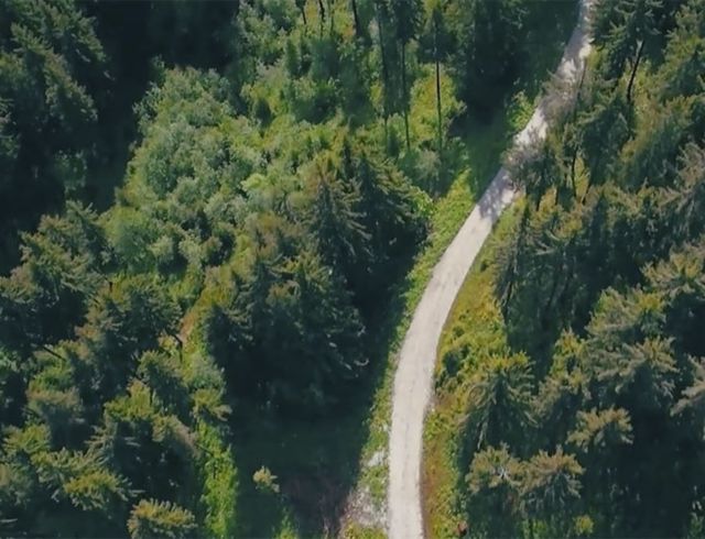 Aerial view Long narrow road in the middle of the forest 