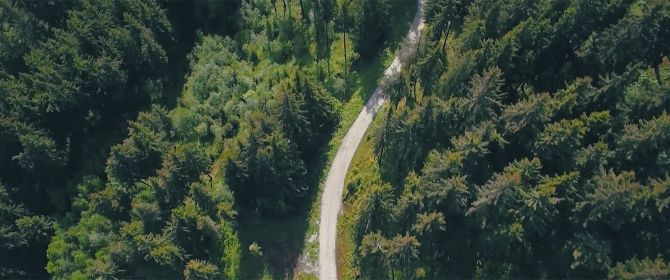 Aerial view Long narrow road in the middle of the forest