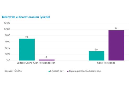 e-ticaret oranları türkiye