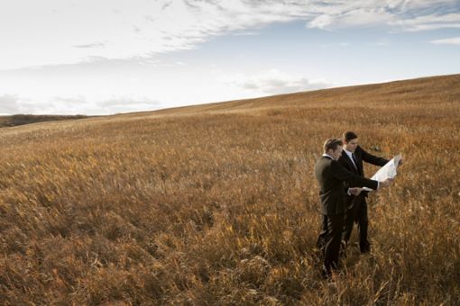 Market Entry & Differentiation