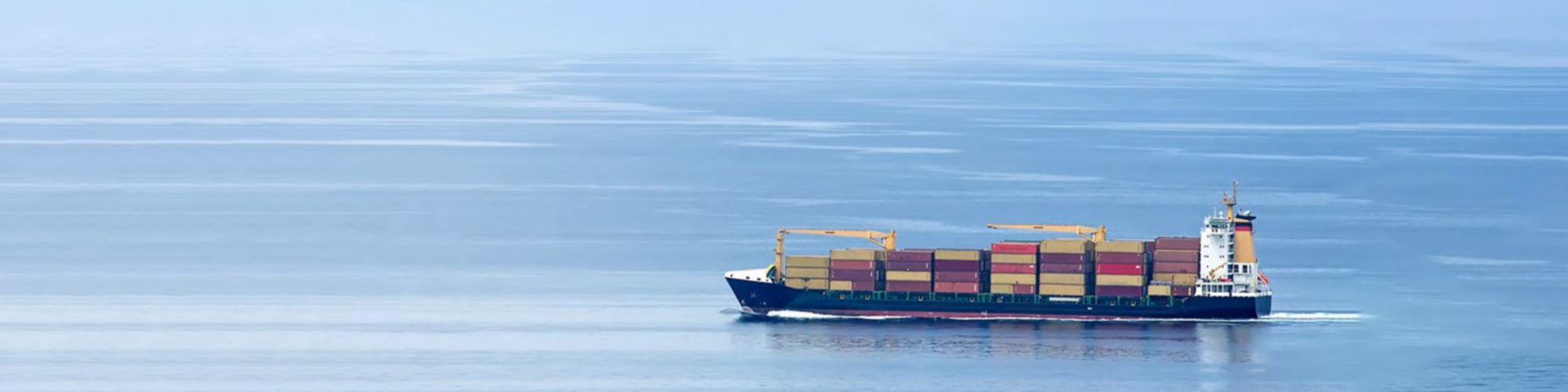 Transport Tracker 11