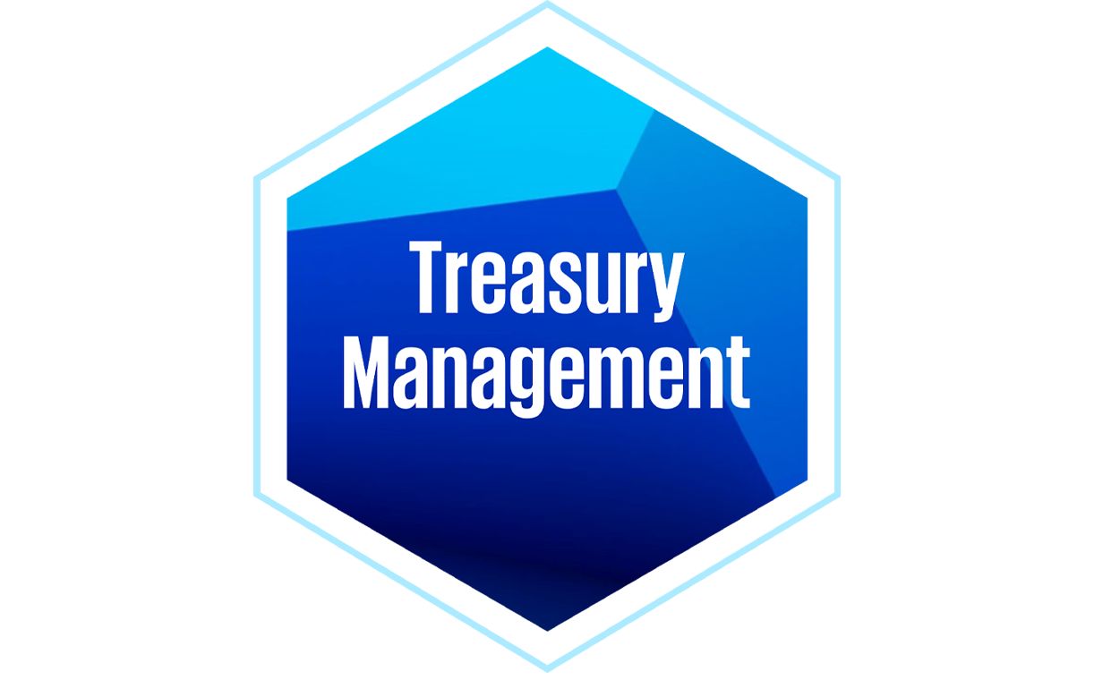 Treasury management