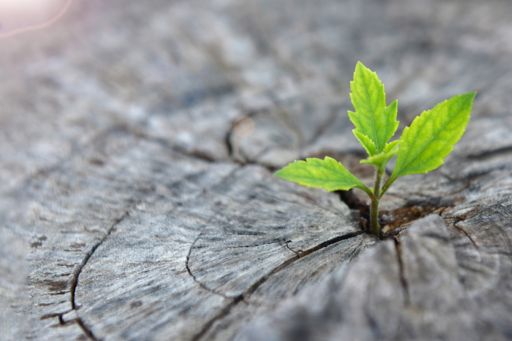 Défense : vers un avenir plus écologique