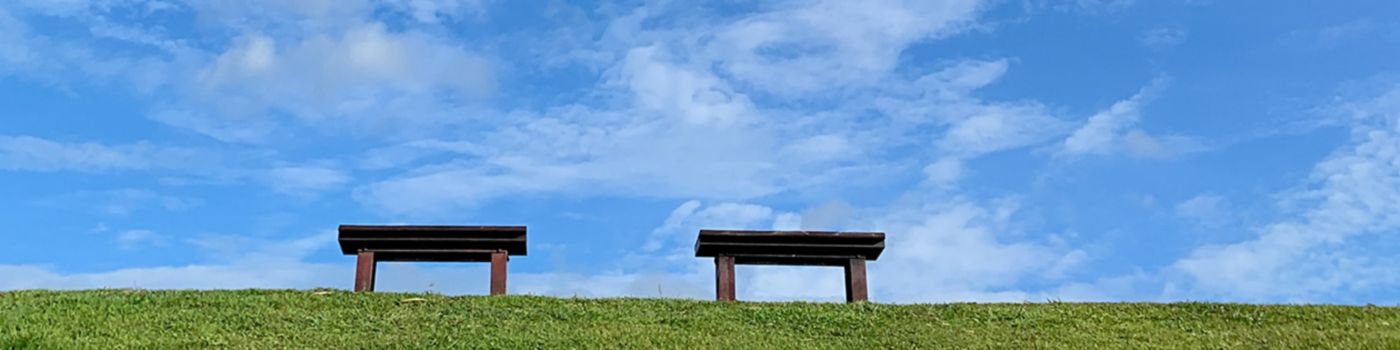 Two benches on grass