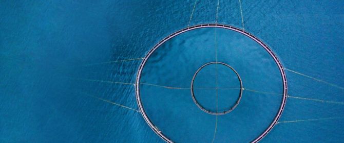 two rings intersected by strings in water
