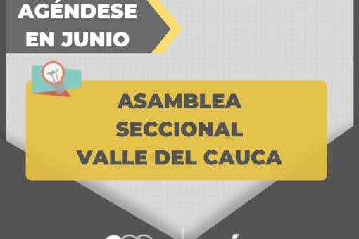 Asamblea ANDI 
