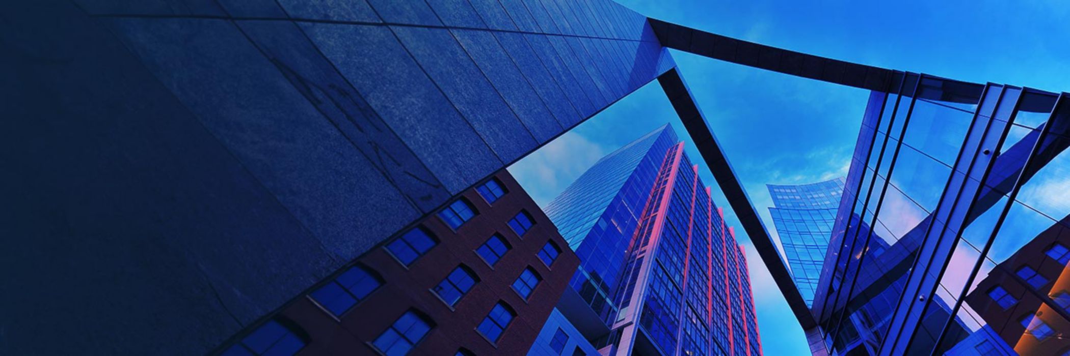 Business meeting and discussing