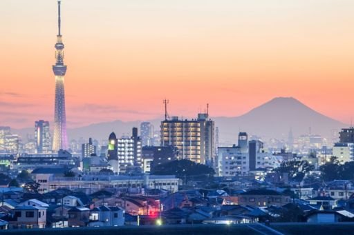 Tokyo city view with Tokyo skytree and mountain