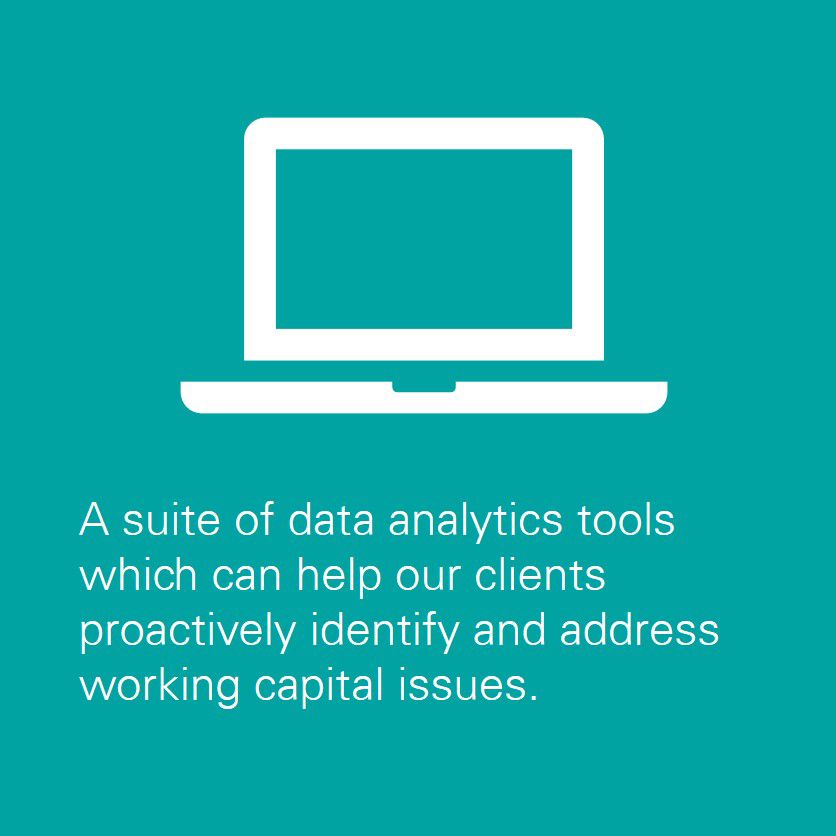 A suite of data analytics tools which can help our clients proactively identify and address working capital issues.