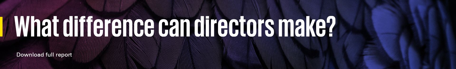 What difference can directors make?