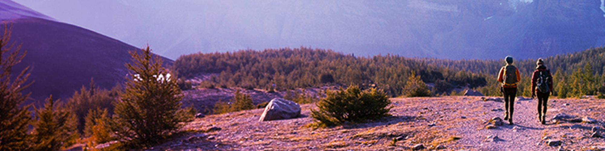 people hiking mountain