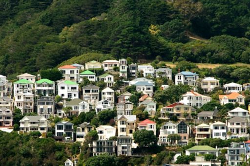 Houses on a hill, Wellington, NZ